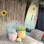 Tiny Seashell - Beach House By Fre